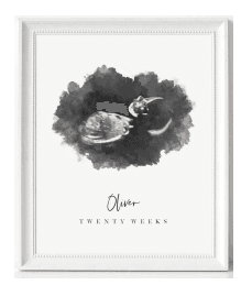 ultrasound-art-watercolor-print